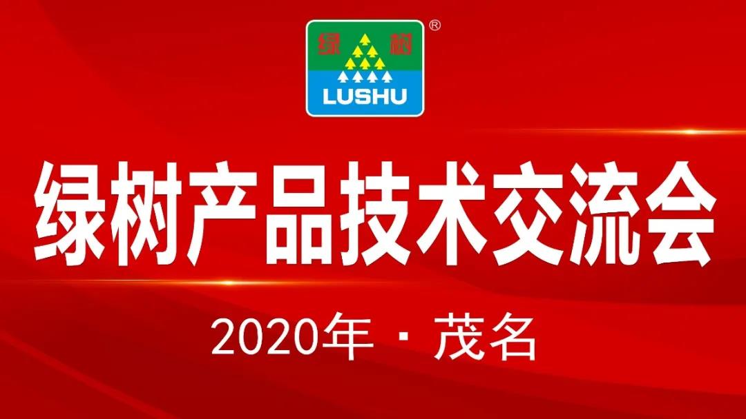 2025新老澳门原料免费大全